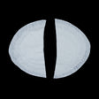 5 Layer Cotton Shoulder Pads - 8.5" x 5" x .5"