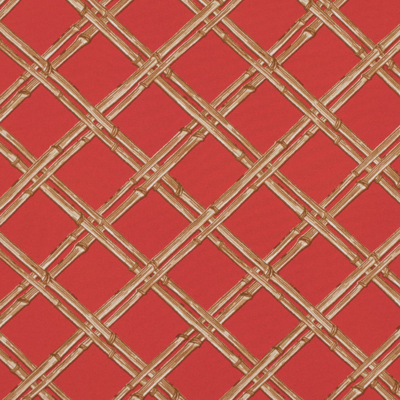 Fiesta Orange and Taffy Bamboo Printed Polyester Jersey