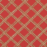 Fiesta Orange and Taffy Bamboo Printed Polyester Jersey