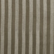 Golden Beige Awning Striped Cotton Upholstery Velveteen