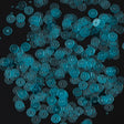 Bag of Turquoise Transparent Bright Loose Sequins - 5mm