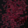Bag of Ruby Transparent Bright Loose Sequins - 5mm