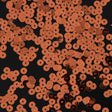Bag of Purmpkin Color Loose Sequins with Silver Back - 5mm