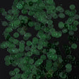 Bag of Jade Transparent Bright Loose Sequins - 6mm