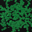Bag of Emerald Dull-Bright Loose Sequins - 6mm