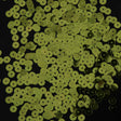 Bag of Lime Color Loose Sequins with Silver Back - 6mm