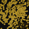 Bag of Gold Color Loose Sequins with Silver Back - 6mm