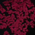 Bag of Ruby Color Loose Sequins with Silver Back - 6mm
