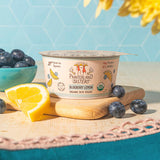 Painterland Sisters Blueberry Lemon Organic Skyr Yogurt Cup 5.3 oz. - 8/Pack
