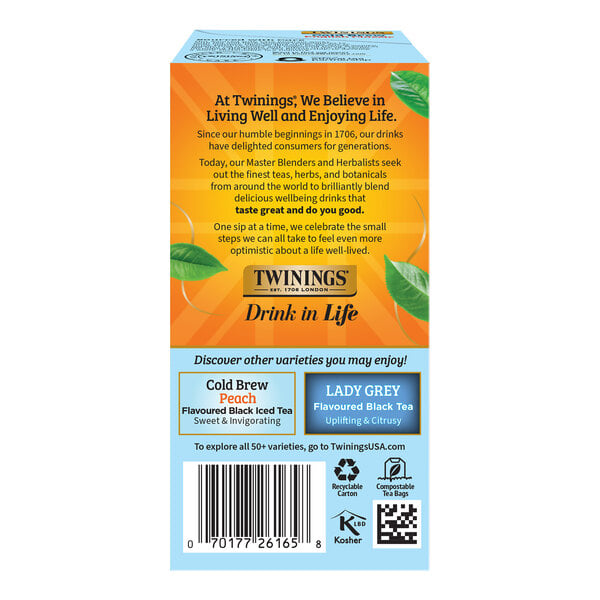 Twinings English Classic Cold Brewed Iced Tea Bags - 20/Box
