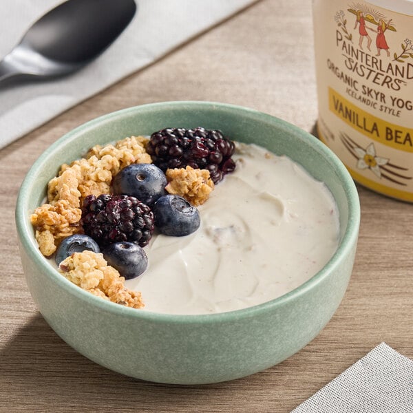Painterland Sisters Vanilla Bean Organic Skyr Yogurt 24 oz. - 6/Case