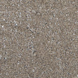 Jay Godfrey Pale Gold All-Over Circle Sequins Fabric on a Black Mesh