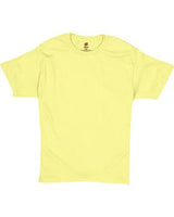 Hanes® Unisex Short Sleeve Crewneck T-Shirt