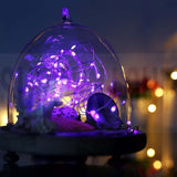 Christmas Fairy Lights 100 LED