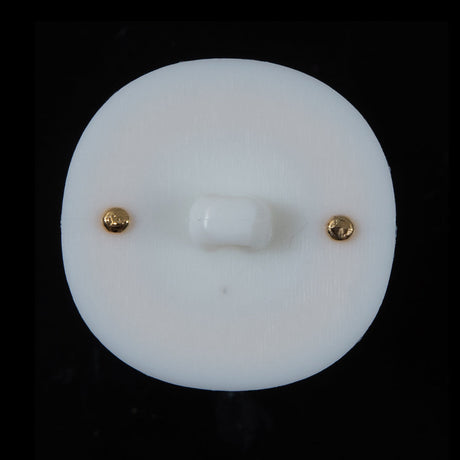 White and Gold 2-Piece Plastic Button - 48L/30.5mm