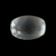 Gray Iridescent Plastic Button - 40L/25.5mm