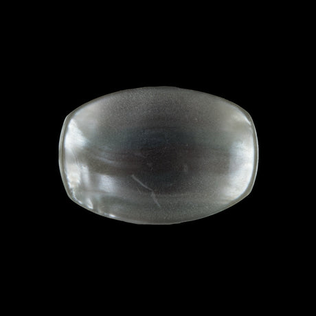 Gray Iridescent Plastic Button - 40L/25.5mm