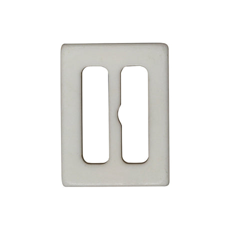 Icicle and Cantaloupe Iridescent Plastic Slider - 1.125" x 1.4375"