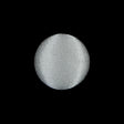 Ivory Silk Covered Button - 30L/19mm