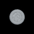 White Detailed Plastic Shank-Back Button - 32L/20mm