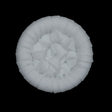 White Detailed Plastic Shank-Back Button - 44L/28mm