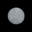 White Floral Plastic Shank-Back Button - 36L/23mm