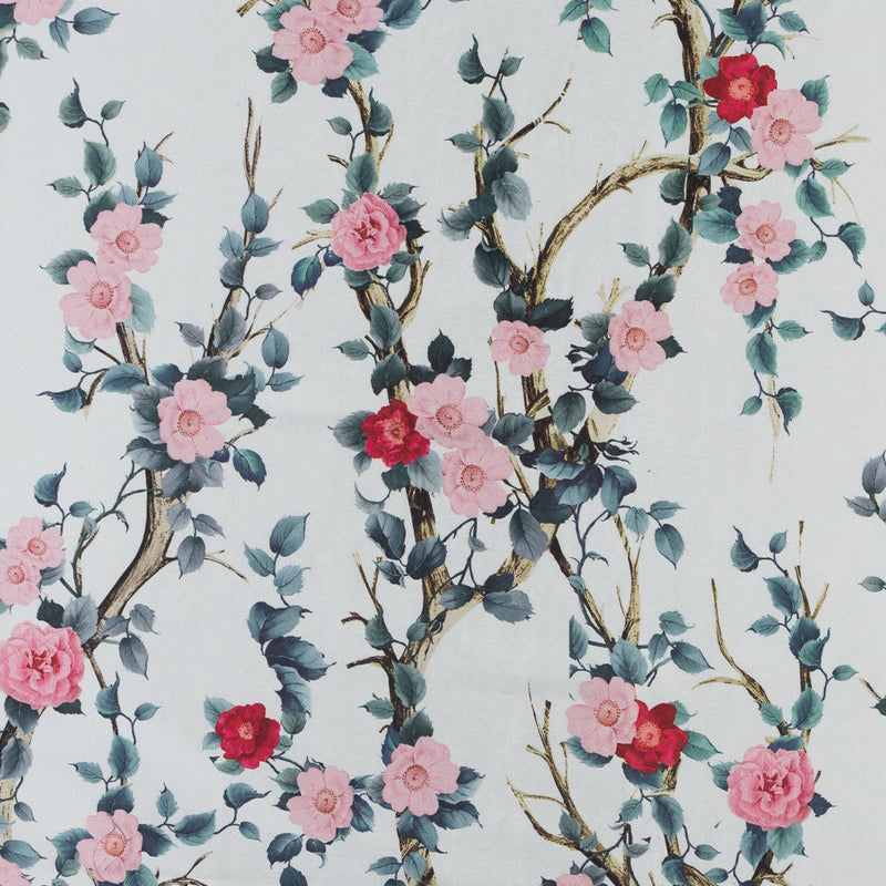 Mood Exclusive Sakura of the Spring Mikado