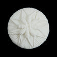 White Plastic Floral Shank Back Button - 44L/28mm
