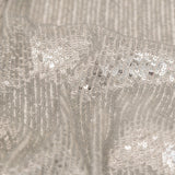 Silver Striped Circle Sequins over White Mesh
