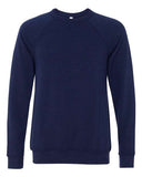 Adult Sponge Fleece Raglan Crewneck Sweatshirt