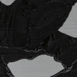 Metallic Black Abstract Burnout Luxury Brocade