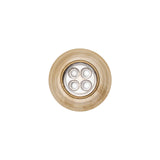 Italian Kelp and Silver Nailshead and Translucent Plastic 4-Hole Button - 24L/15mm