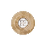 Italian Kelp and Silver Nailshead and Translucent Plastic 4-Hole Button - 36L/23mm