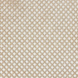 Guipure Lace with Glitter - Champagne Diamonds