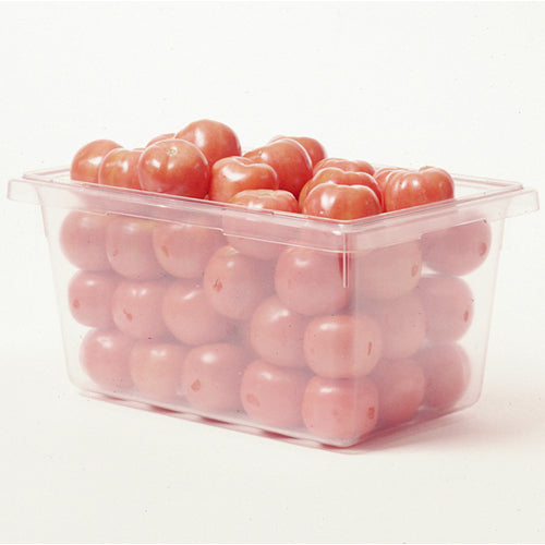 Rubbermaid Clear Food Box 12" x 18", 6" High