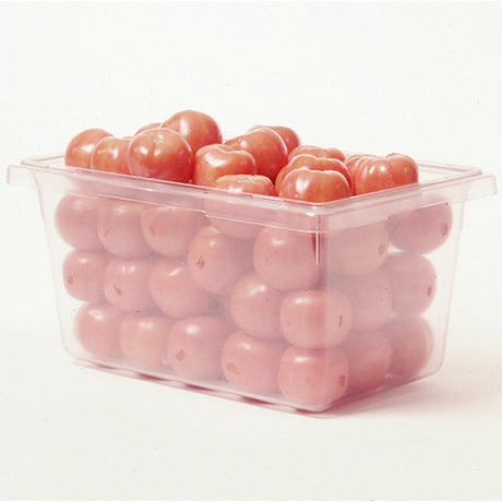 Rubbermaid Clear Food Box 12" x 18", 6" High