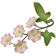 Pink and White Flowers with 2 Leaves - Gum Paste Flowers cake topper