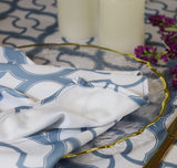 Scuba Dinner Napkins 20x20 Dusty Blue