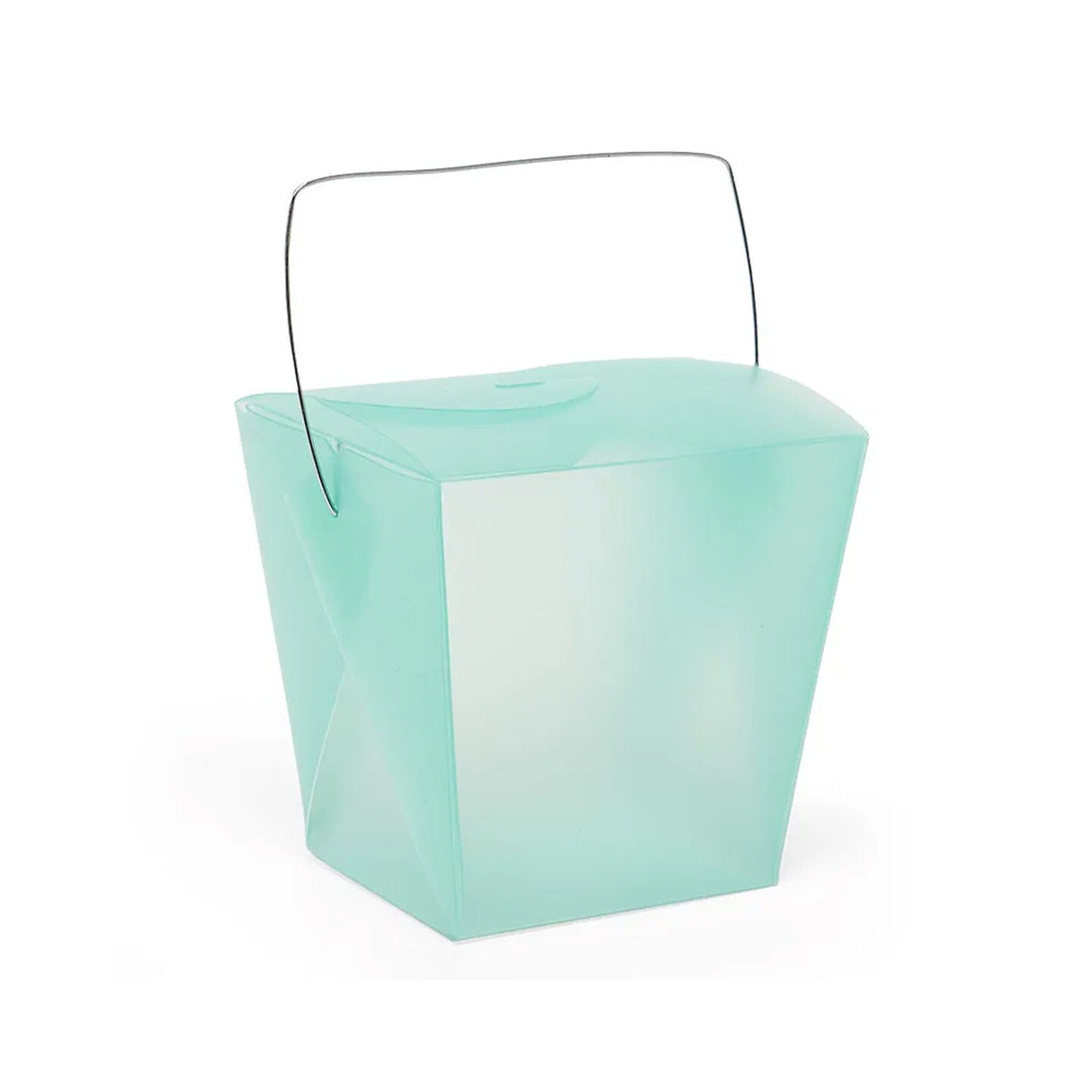 Sleek Frosted Plastic Organizer