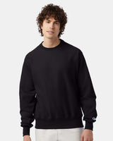 Champion® Reverse Weave Crewneck Sweatshirt