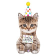 Foil Balloon Girls 36 Inch Cue The Catfetti Cat