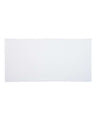 Carmel Towel Company Velour Beach Towel