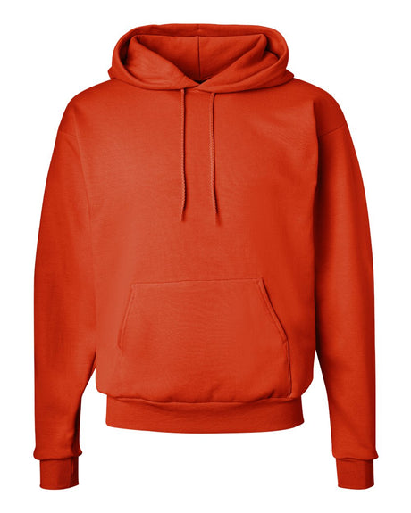 Hanes® Ecosmart Long Sleeve Hooded Sweatshirt