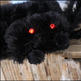 36 1/2" x 5 Ft. 1 3/4" Black Spider with Light-Up Eyes Halloween Decoration