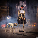 36 1/2" x 62 1/4" Animated Skeleton & Dog Halloween Decorations