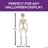 36" Animated Posable Skeleton Halloween Decoration