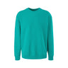 Heavy Blend Crewneck Long Sleeve 50% Cotton Sweatshirt | RADYAN®