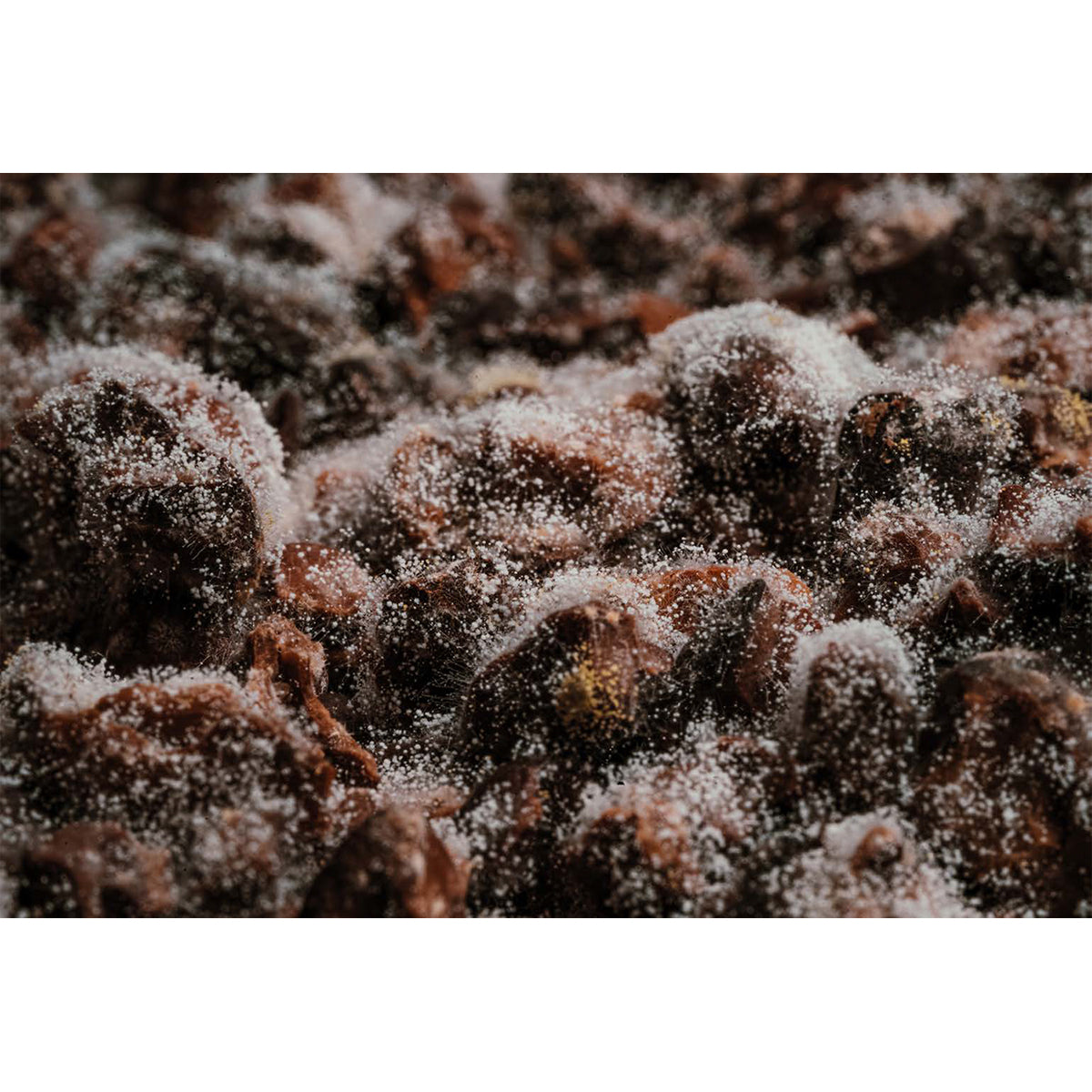 So Good, the Magazine of Haute Patisserie: #25, January 2021