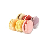 Packnwoood Insert for 6 Macarons with Clip Closure, 4.5" x 3.9", Pack of 50