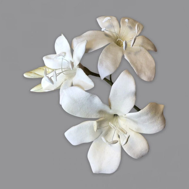 FMM Sugarcraft Bridal Lily Cutter Set, Includes 3 cutters and 1 form